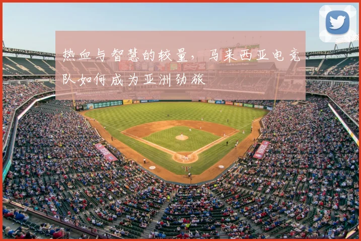 热血与智慧的较量，马来西亚电竞队如何成为亚洲劲旅