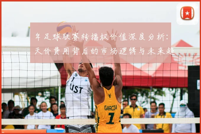 年足球联赛转播权价值深度分析：天价费用背后的市场逻辑与未来趋势