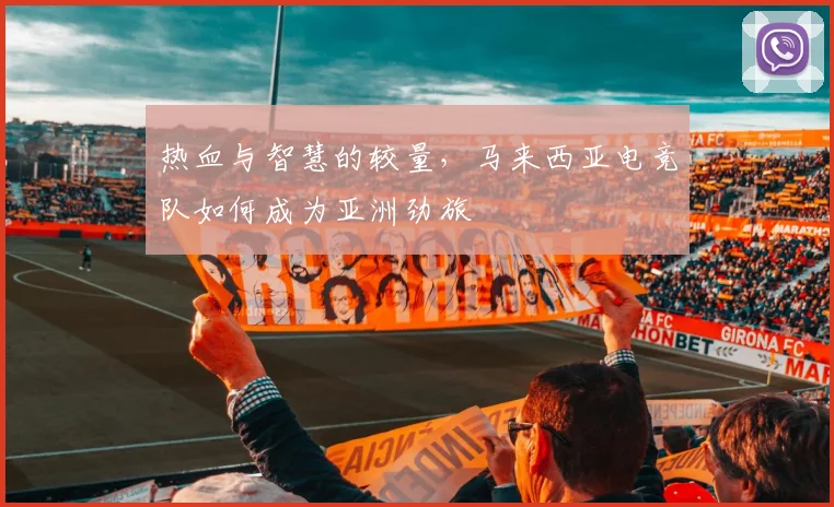 热血与智慧的较量，马来西亚电竞队如何成为亚洲劲旅